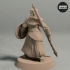 Night's Cult Follower with Spear and Shield Pose 1 Back Fantasy Miniature